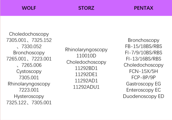 Flexible Endoscopy Repair - Image 4